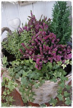 a basket filled with lots of different types of plants