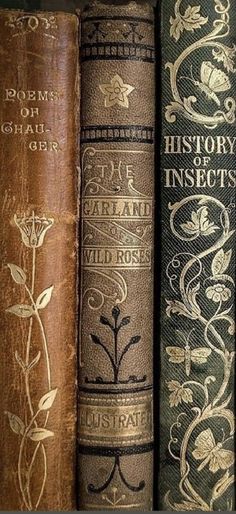 three old books are lined up on a shelf in front of a wallpapered background