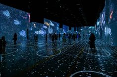 people are standing in an art gallery looking at projected images on the walls and floor