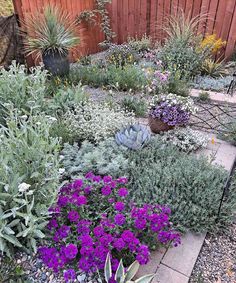 a garden filled with lots of different types of flowers