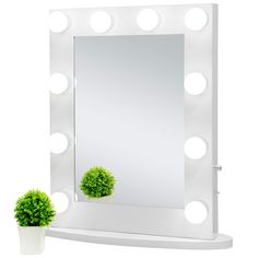 a white vanity mirror with lights and a potted plant