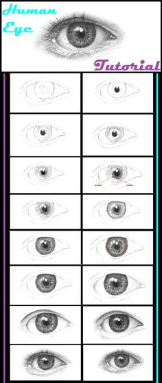 the different types of eyes and how they are used to draw them in this drawing lesson