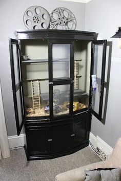 a black china cabinet with glass doors and shelves in the corner on carpeted flooring