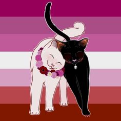 two cats standing next to each other on top of a red and pink striped background