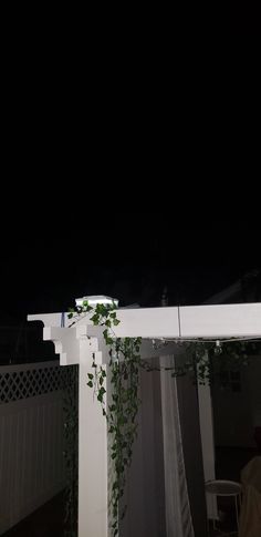 an outdoor area with a white pergolia and green vines