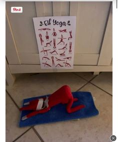 a cat in the hat is sitting on a towel with a sign above it that says elf yoga