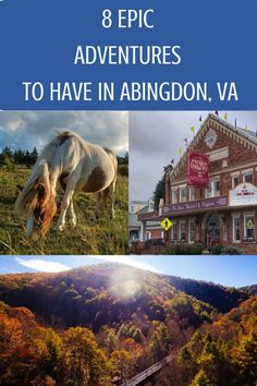 the mountains and trees are featured in this collage with text that reads 8 epic adventures to have in abington, va