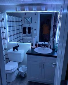 a bathroom with a cat on the counter and lights in the bathtub behind it