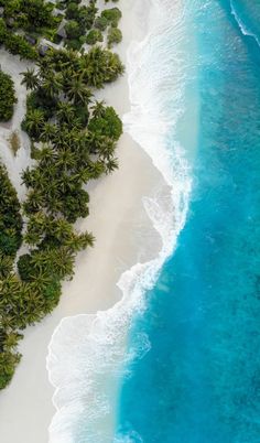 an aerial view of the beach and ocean with palm trees in the foreground, from above