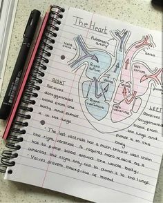 a notepad with a diagram of the heart on it