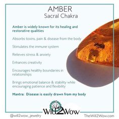 Amber Meaning Stones, Amber Healing Properties, Amber Meaning Crystals, Amber Properties, Healing Crystal Bracelets, Stone Meanings, Crystal Seashells, Crystals Healing Properties, Amber Crystal