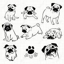 a bunch of pug dogs sitting and standing in different positions on a sheet of paper