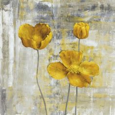 three yellow flowers on a white and gray background canvas wall art print, ready to hang