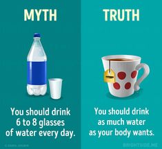 15 Myths About a Healthy Diet You Need to Stop Believing Mother Nature Quotes, Diet Myths, Health Myths, Myth Busters, True Interesting Facts, Interesting Facts About World, Psychology Fun Facts, Intresting Facts, Wow Facts