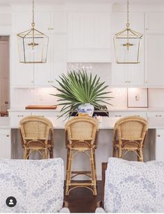 a living room filled with furniture and a plant in the middle of it's center island