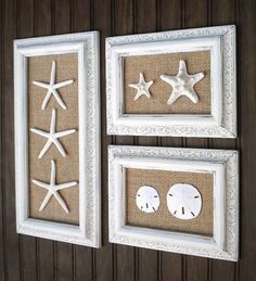 two framed pictures with starfishs and sand dollars hanging on the wall next to each other