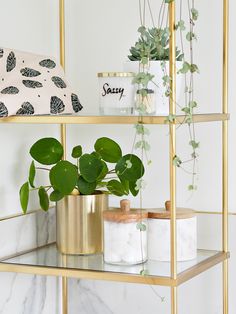 a gold shelf with potted plants on it