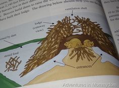 an open book with pictures of plants and animals on it's pages, labeled in the diagram below