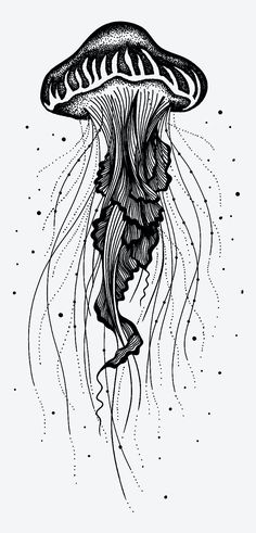 a black and white drawing of a jellyfish