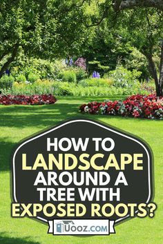 a sign that says how to landscape around a tree with exposed roots? in front of some flowers