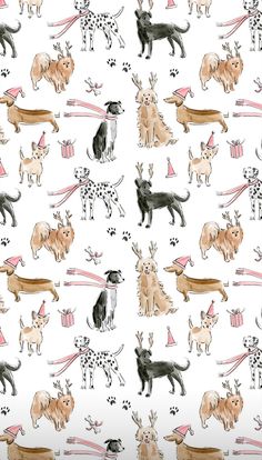 an image of dogs and cats on a white background that is seamlessly grouped together