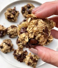 a person is holding a granola cookie on a plate with chocolate chips and nuts