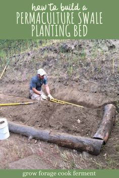 how to build a permaculture swale planting bed