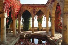 an outdoor area with water and flowers on the ground, surrounded by arches that are covered in leaves