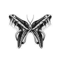 a black and white drawing of a butterfly