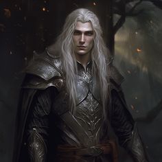 a man with long white hair wearing armor