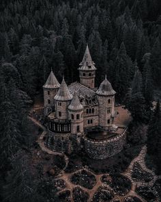 an aerial view of a castle in the woods