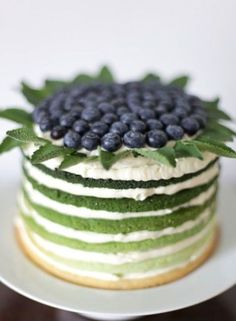 a green and white cake with blueberries on top is shown in an instagram