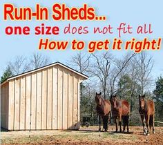 three horses standing in front of a barn with the words run - in sheds one size does not fit all how to get it right