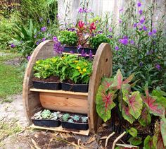 a wooden planter filled with lots of plants