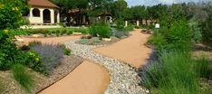 a pathway in the middle of a garden