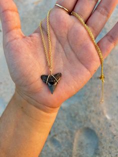 large, pristine, and uniquely colored bull shark tooth on a waterproof chain. perfect for soaking up the sun on the beach and wearing your love of the ocean all year round, in all weather conditions. Enter your beach bum era with this special piece! 🦈🫧 Shark Tooth Ring, Sharks Teeth, Bull Shark, High Point Nc, Shark Necklace, Shark Tooth Necklace, Tooth Necklace, Shark Tooth, Shark Teeth