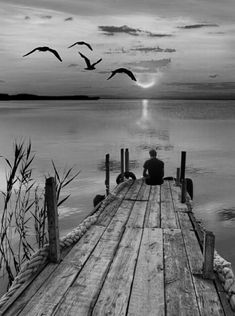 birds are flying over the water on a pier at sunset or sunrise, black and white photo