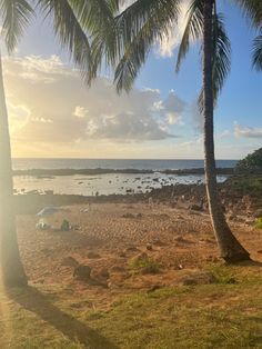 two palm trees on the beach with boats in the water and sun shining behind them