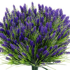 a bunch of purple flowers in a vase