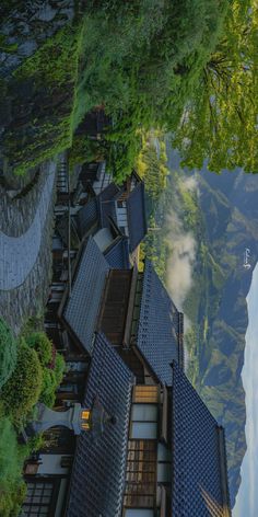 an aerial view of some houses in the woods with trees and water reflecting on the ground