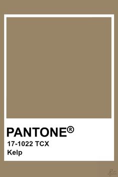 pantone's tan tone is shown with the words klipp on it