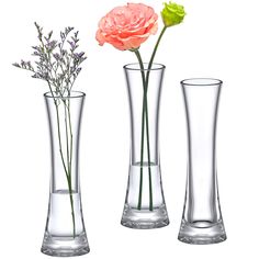 three clear vases with flowers in them on a white background, one pink and one green