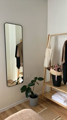 a mirror hanging on a wall next to a potted plant in a room with white walls