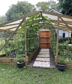 an outdoor garden with lots of plants growing inside of it and a wooden door in the middle