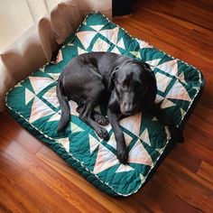 a black dog laying on top of a green and white quilt