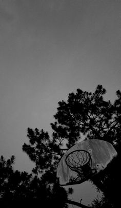 a basketball hoop is in the air near some trees