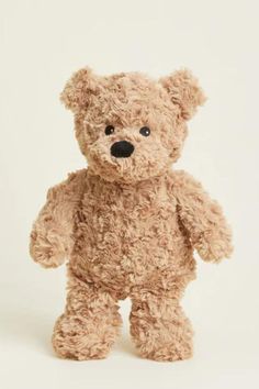 a brown teddy bear standing up against a white background