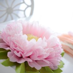 a pink flower sitting on top of a white table