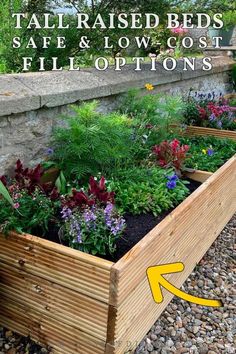 a garden bed with flowers and plants in it, text reads tall raised beds safe & low cost hill options