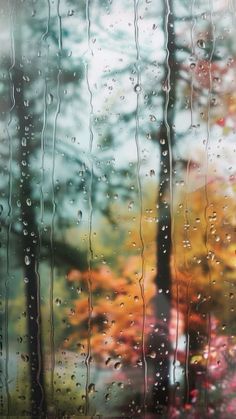 rain is falling down on the window and trees in the backgroung are colorful leaves